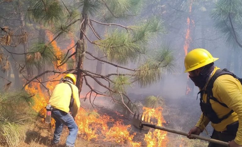 Con La Llegada De Las Primeras Lluvias Se Extinguieron Al Los