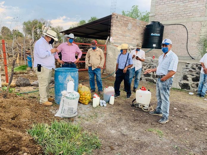 Agricultura Sustentable, La Semilla Para Transformar El Agro En ...