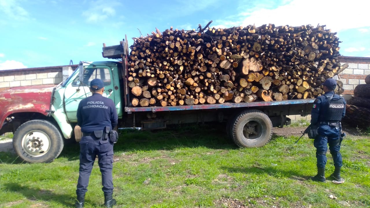 Asegura SSP camión cargado con madera ilegal