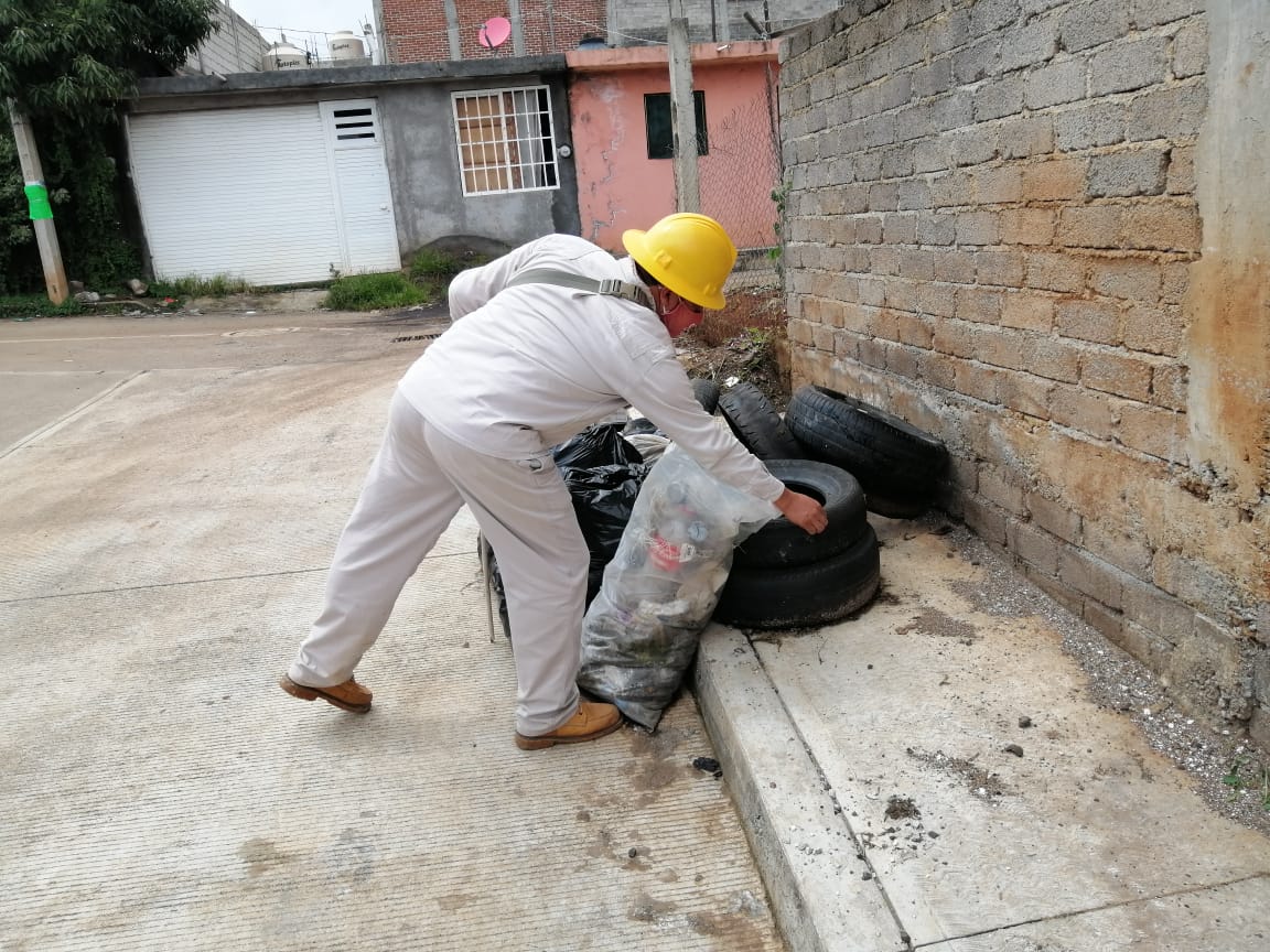 Michoacán, sin casos de zika y chikungunya