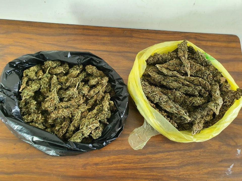 Detiene SSP a dos en posesión de más de medio kilo de marihuana