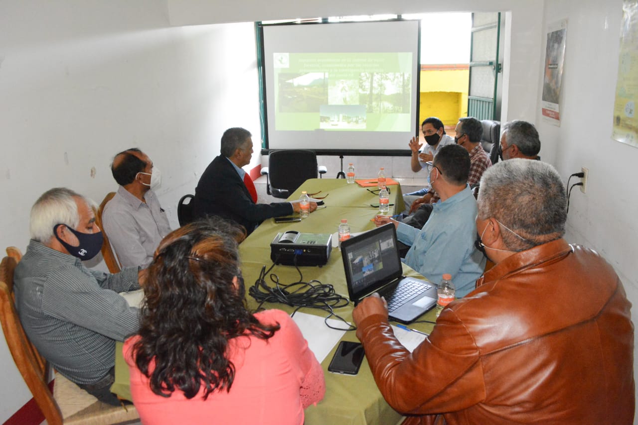 ESPECIALISTAS PLANTEAN URGENCIA DE RESCATAR AL SECTOR FORESTAL