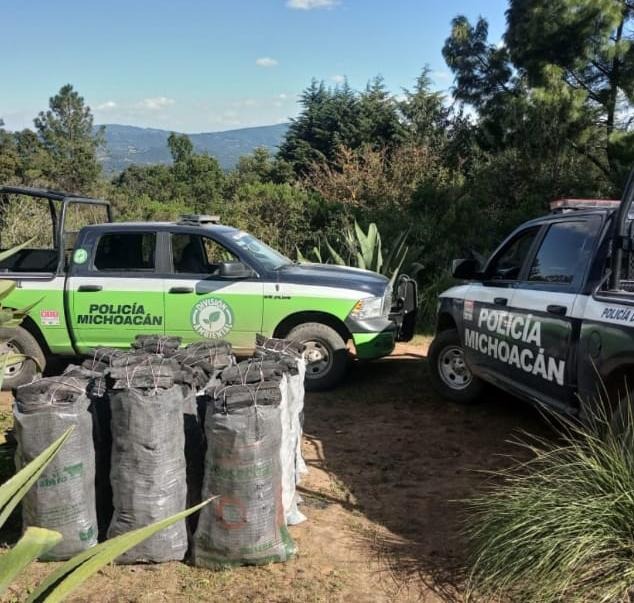 Asegura SSP 18 costales de carbón vegetal, presuntamente ilícito