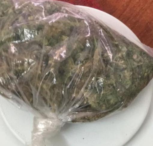En patrullajes, detiene SSP a uno en posesión de marihuana en Morelia