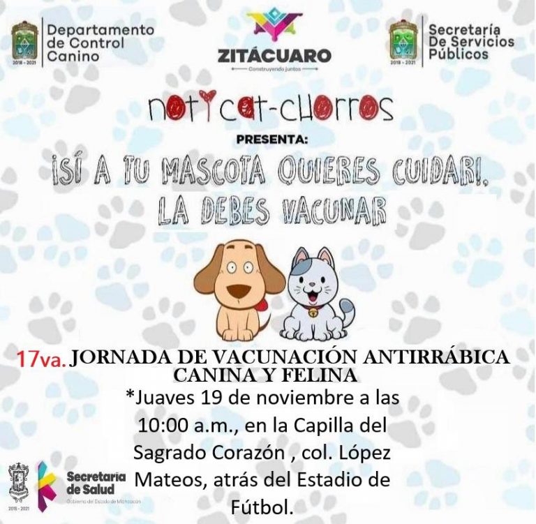 Campaña antirrábica, llega a más de 4 mil 300 mascotas vacunadas en Zitácuaro