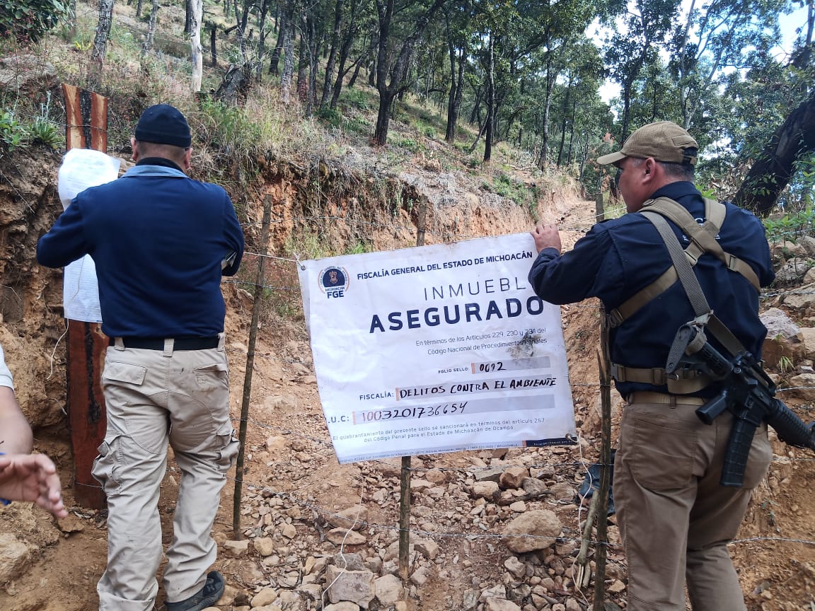 En cateo, asegura FGE tres predios por presunta relación en delitos contra el ambiente