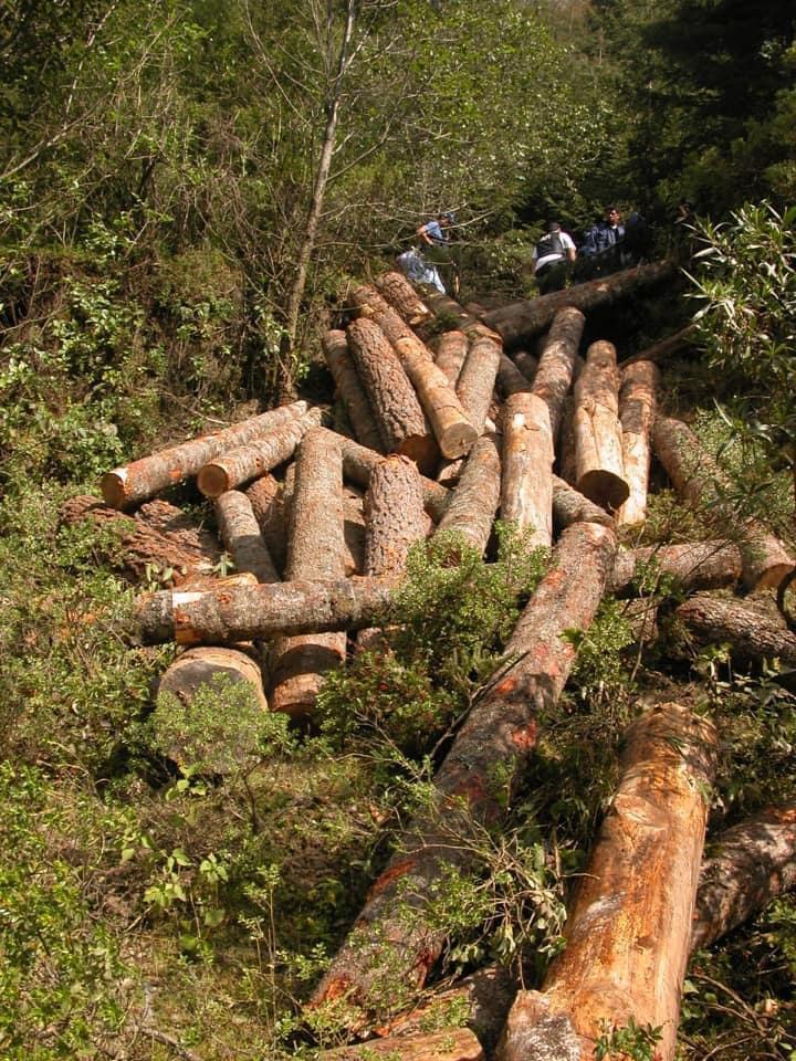 INVESTIGA FGR UN DELITO COMETIDO CONTRA EL MEDIO AMBIENTE EN ZINAPÉCUARO