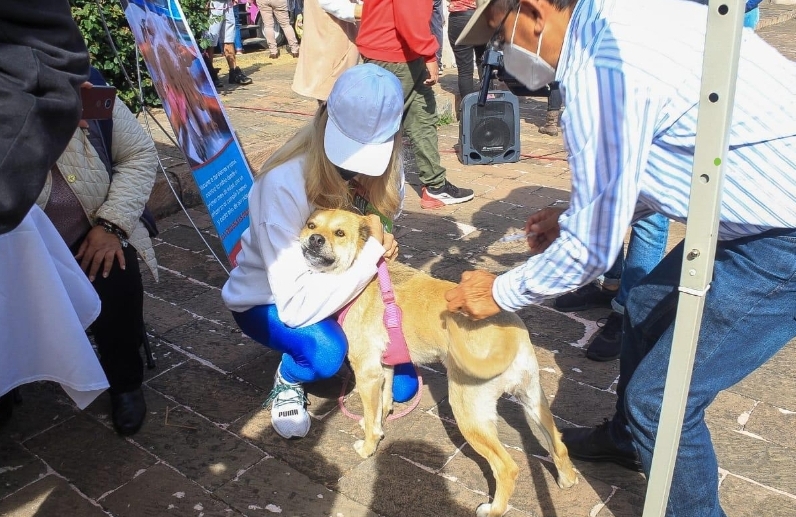 Con 15 mil vacunas antirrábicas en Morelia cerrarán la Jefatura de Gobierno actividades este año