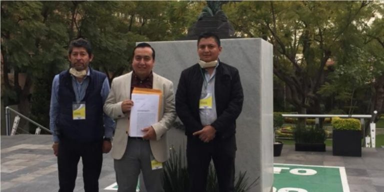 Morenos de Corazón impugna ante el TEPJF convocatoria para selección de perfil a la gubernatura de Michoacán.