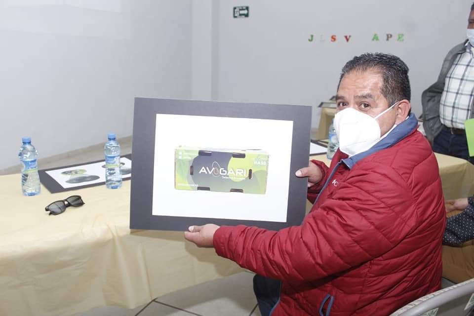Con apoyo de Sedeco y Lupillo Aguilera, aguacateros de Tingambato logran marca para exportar