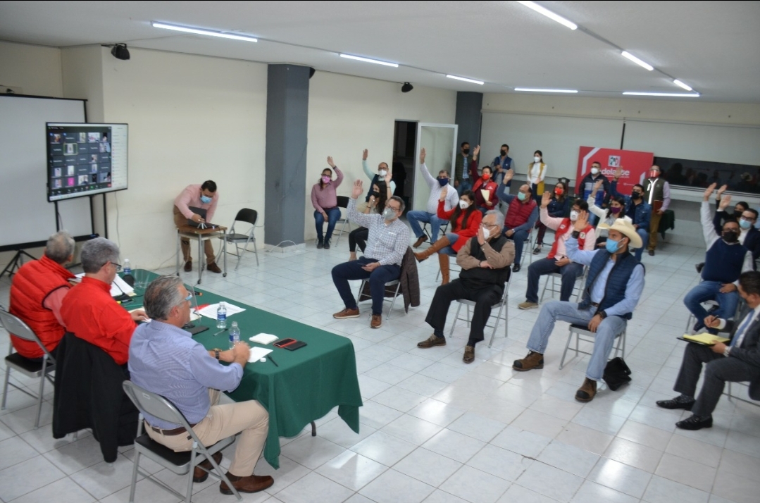 El PRI aprueba Acuerdos sobre aspirantes a Diputaciones Locales de Mayoría Relativa y a Presidencias Municipales  