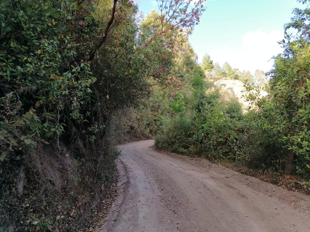 Ayuntamiento de Hidalgo realizó la rehabilitación de 62 kilómetros de caminos rurales saca cosechas de las localidades de Cerro Azul, San Patricio, Loma de en Medio, Guayabitos, Puente de Tierra, El Tejocote, La Rayuela y La Providencia