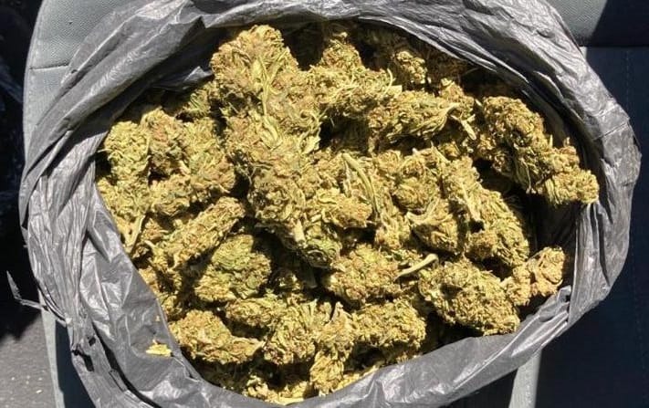 Detiene SSP a uno en posesión de hierba verde al parecer marihuana, en Morelia