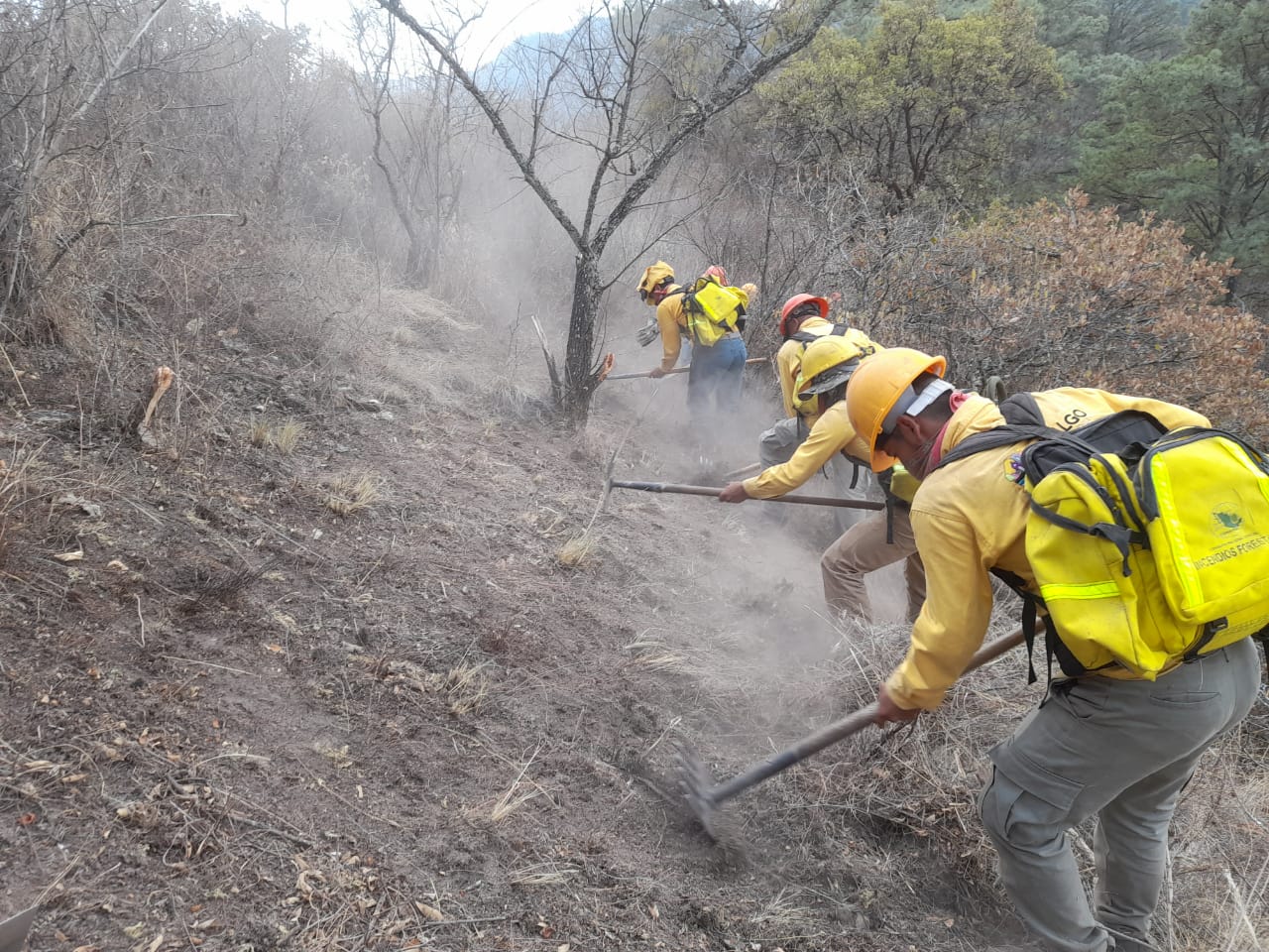 En Hidalgo han hecho frente a 23 incendios forestales que han afectado 255.21 hectáreas de pastizales, renuevos y bosques de pino y encino