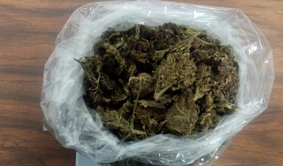 Detiene SSP a tres en posesión de hierba verde seca, al parecer marihuana