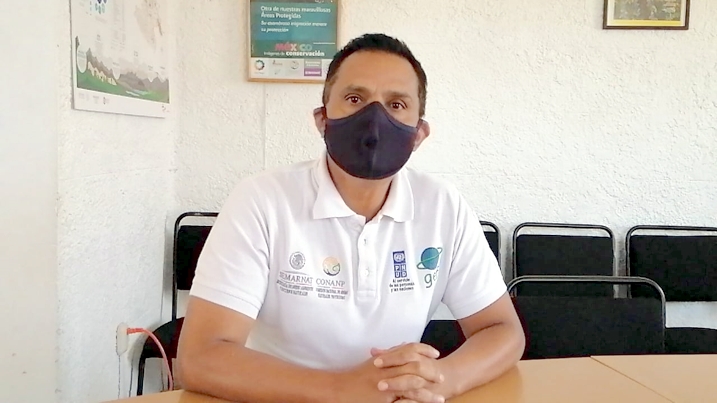 Mariposa monarca esta a punto de migrar de los santuarios de la región oriente de Michoacán