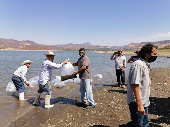 Pescadores preocupados por bajo nivel de agua en la presa El Bosque, su producción podría no ser la esperada