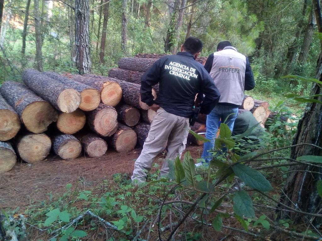 INVESTIGA LA FGR UN DELITO COMETIDO CONTRA EL MEDIO AMBIENTE EN MICHOACÁN