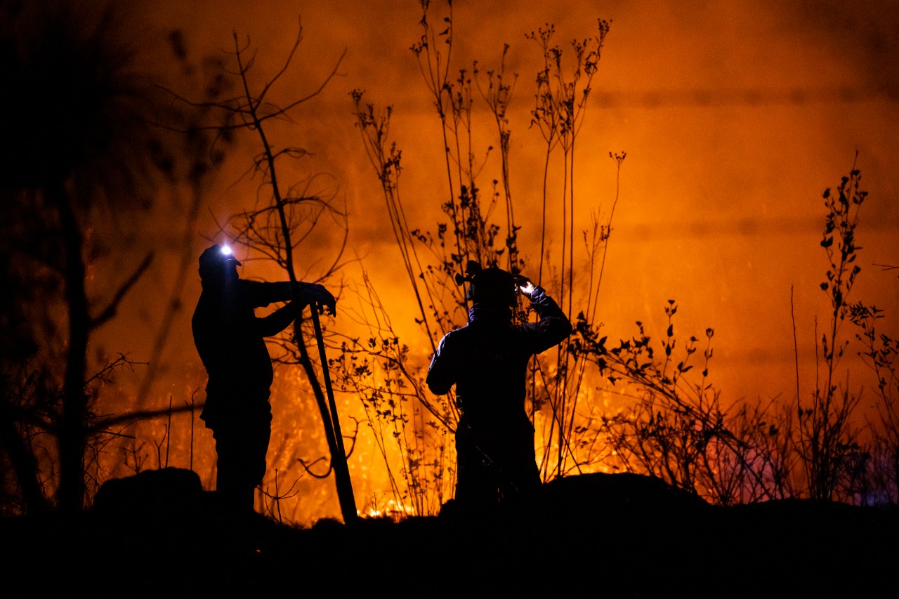 Tras varias horas de labores, brigadistas controlan y apagan incendio en Loma de Santa María