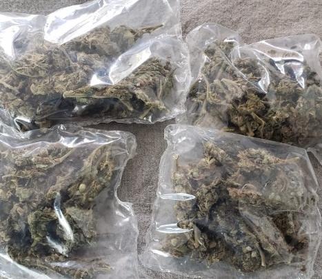 En labor operativa, detiene SSP a dos en posesión de hierba seca al parecer marihuana