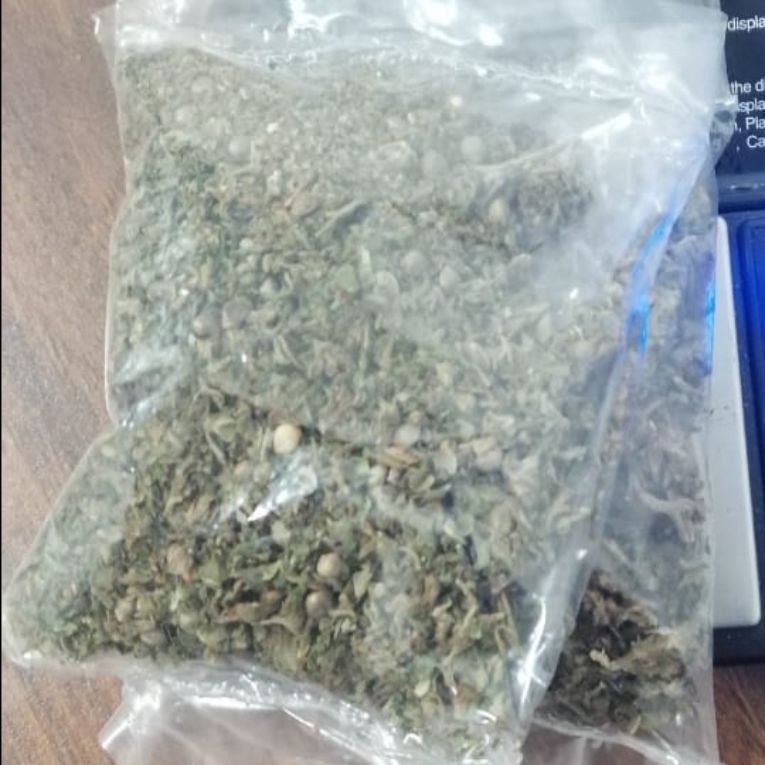 En Zitácuaro, asegura SSP a uno en posesión de marihuana.
