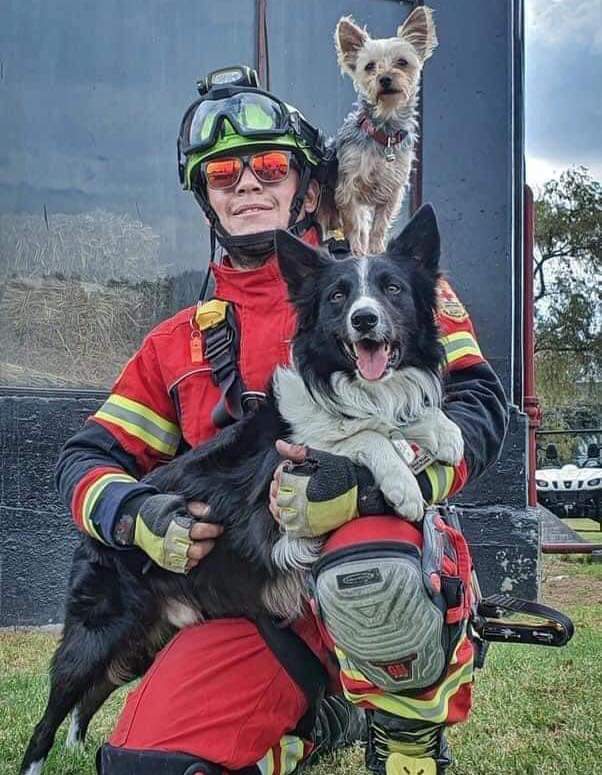 ENVENENAN A DOS PERRITOS RESCATISTAS; QUE AYUDARON A LOCALIZAR A PADRE E HIJA DESAPARECIDOS EN #PÁTZCUARO