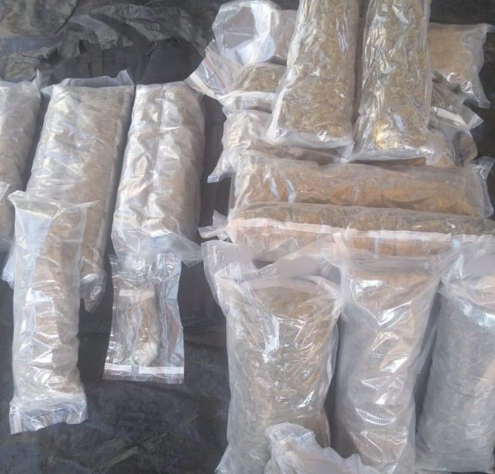 Asegura SSP a dos en posesión de más de  11 kilos de marihuana, en Jacona