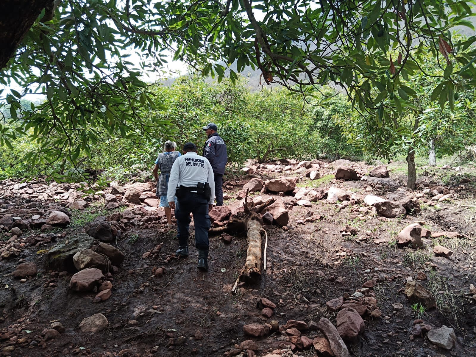 Mantiene Comité Municipal de Protección Civil alerta activada ante emergencias por lluvias