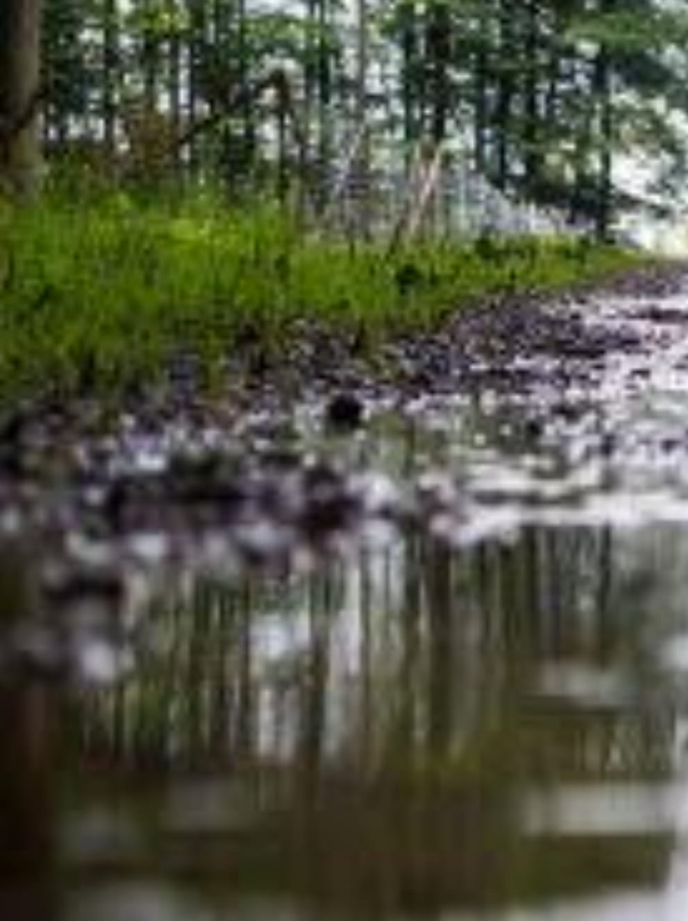 UNA GOTITA DE ECOLOGÍA