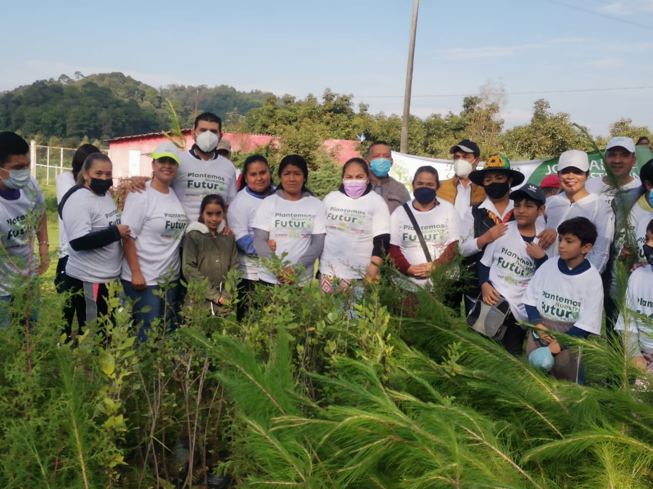 Octavio Ocampo encabeza reforestación en Zitácuaro