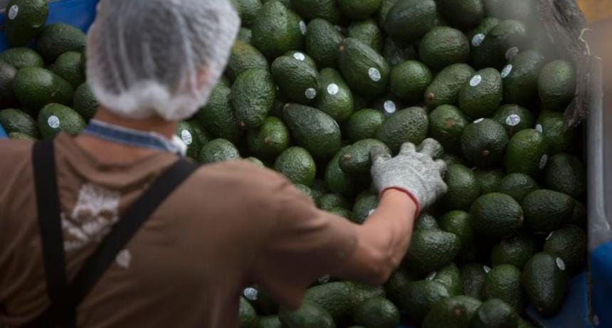 Con apoyo del personal de la Interpol y Policía Ministerial lograron detener a Luis Alberto V., o Luis V., por estar relacionado con el delito de fraude