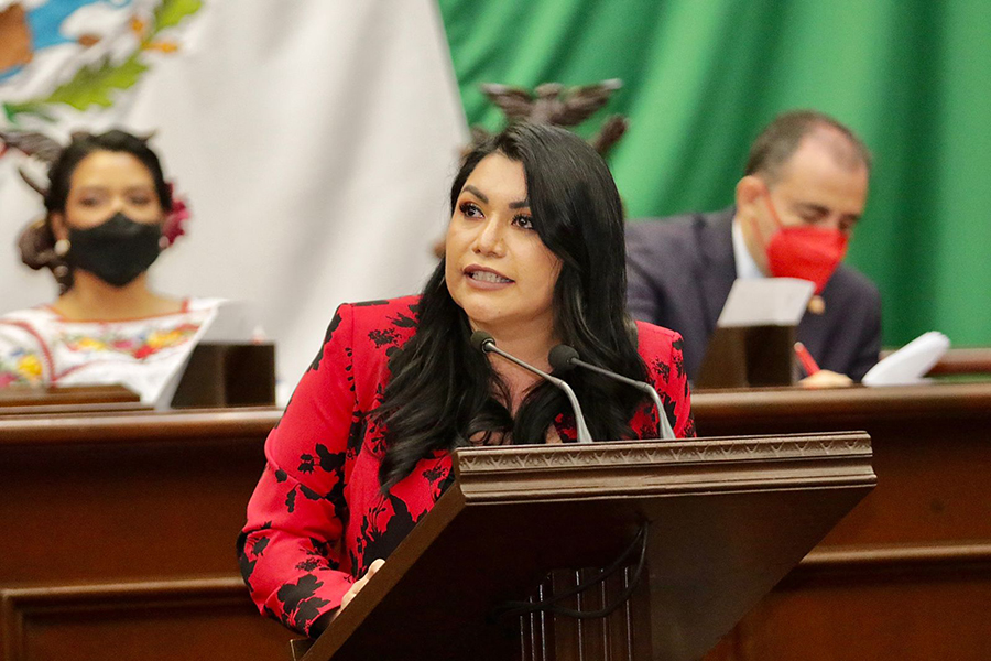 Nuestras primeras propuestas serán reducir los ingresos de los diputados y la eliminación de gastos superfluos: Brenda Fraga