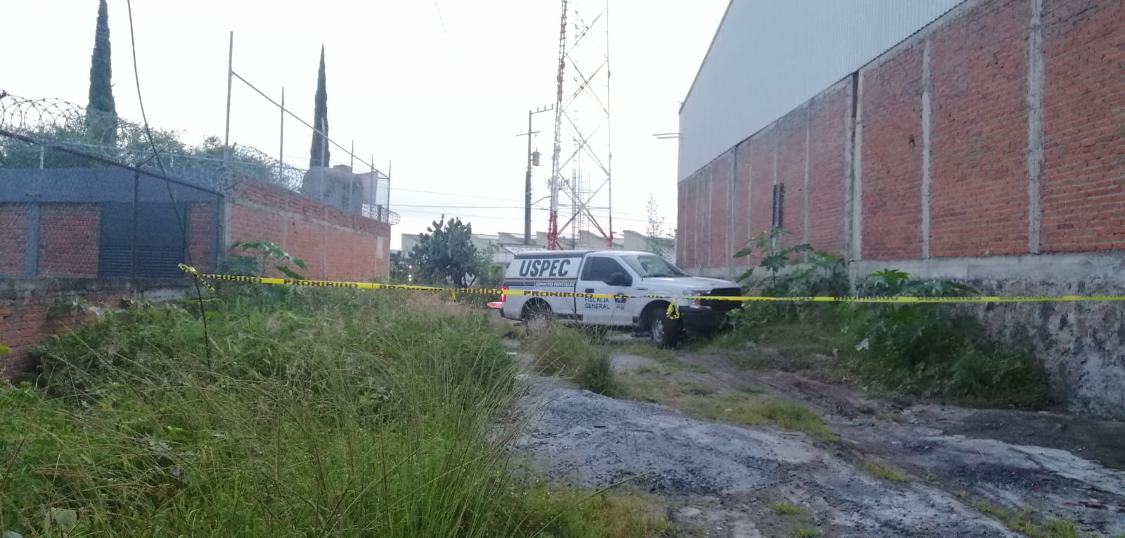 Localizan los cadáveres de cinco hombres de diferentes edades con el tiro de gracia