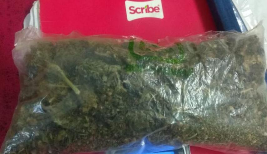 Detiene SSP a uno en posesión de marihuana, en Morelia