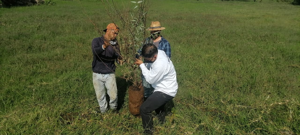 Participa Fiscalía General en reforestación del Parque Urbano Ecológico de Uruapan.