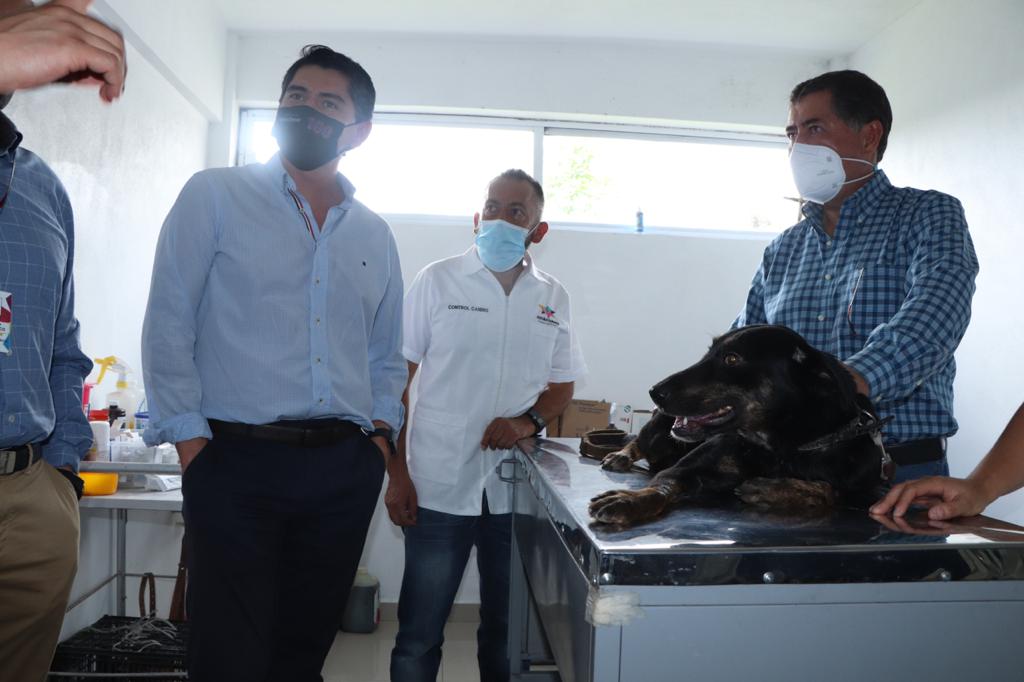 Inicia en Zitácuaro Campaña de Esterilización Canina y Felina