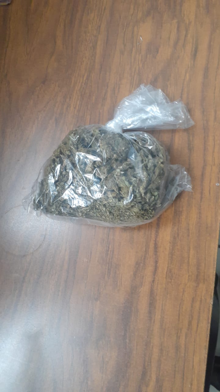 En Jacona y Morelia, SSP asegura a dos en posesión de marihuana