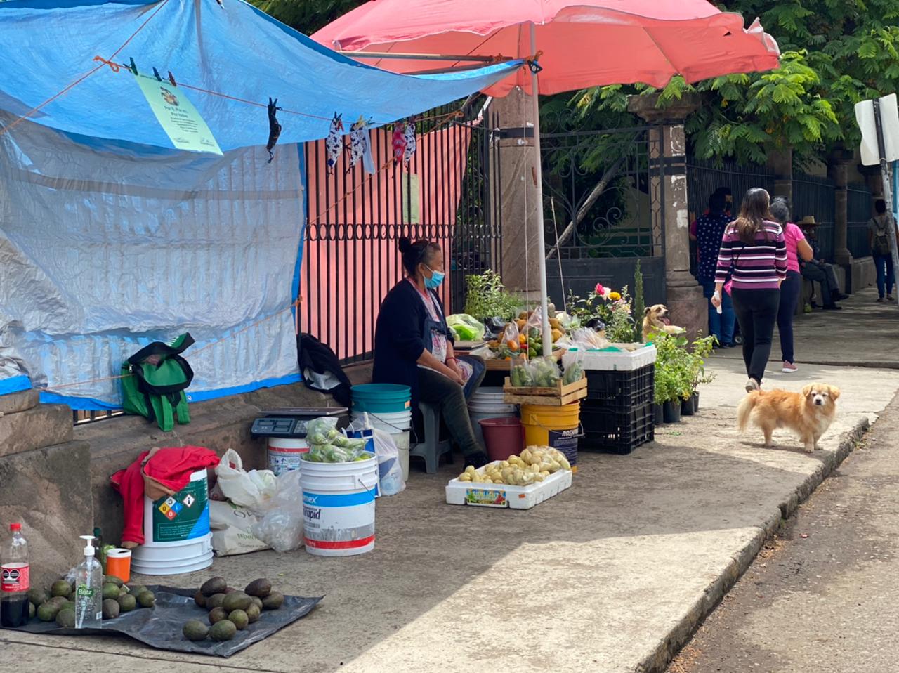 Resguardar la seguridad de todos, compromiso cumplido de Carlos Paredes
