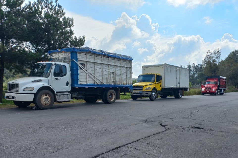 SSP brindó servicios de acompañamiento a 28 camiones cargados con aguacate, en Uruapan