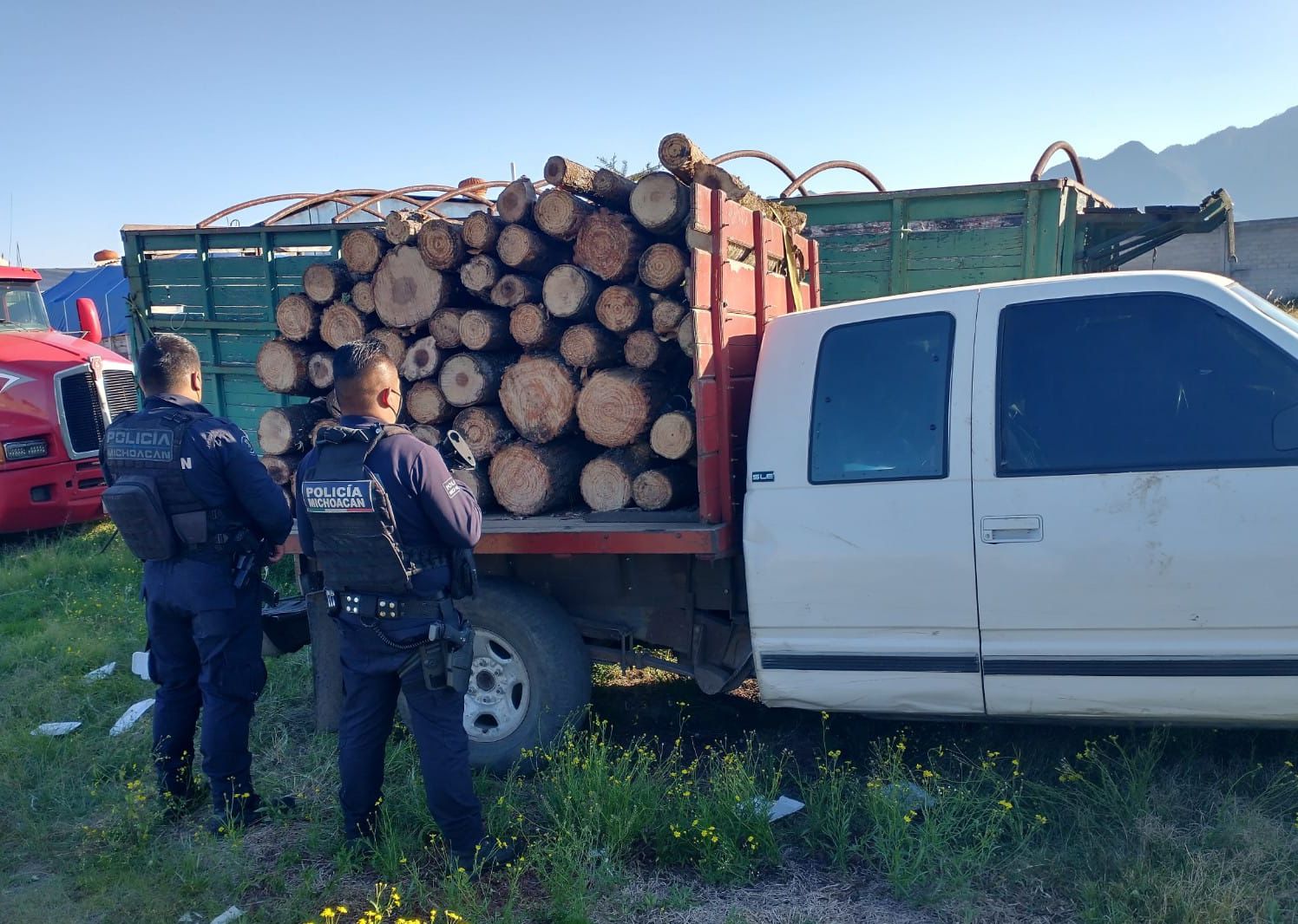 SSP asegura rollos de madera ilegal, en Hidalgo.