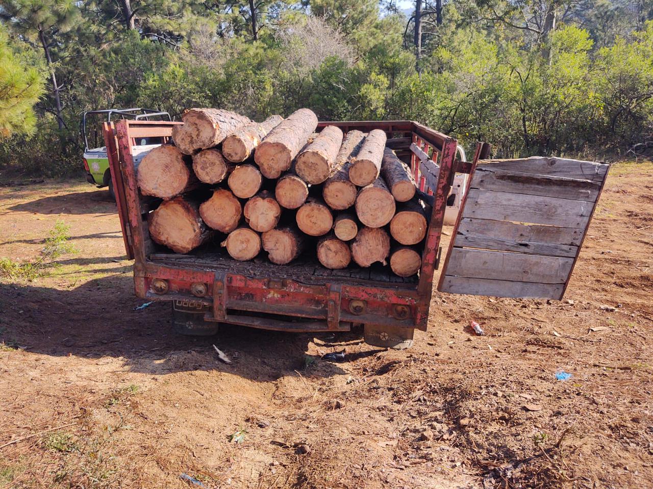División Ambiental de la SSP asegura camioneta cargada con 23 rollos de madera ilícita.