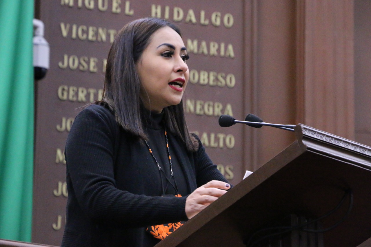Necesario Programa Estatal de Financiamiento Rural para municipios con elevados niveles de migración: Julieta Gallardo