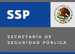 SSP asegura a uno al parecer implicado en el delito de lesiones, en La Piedad