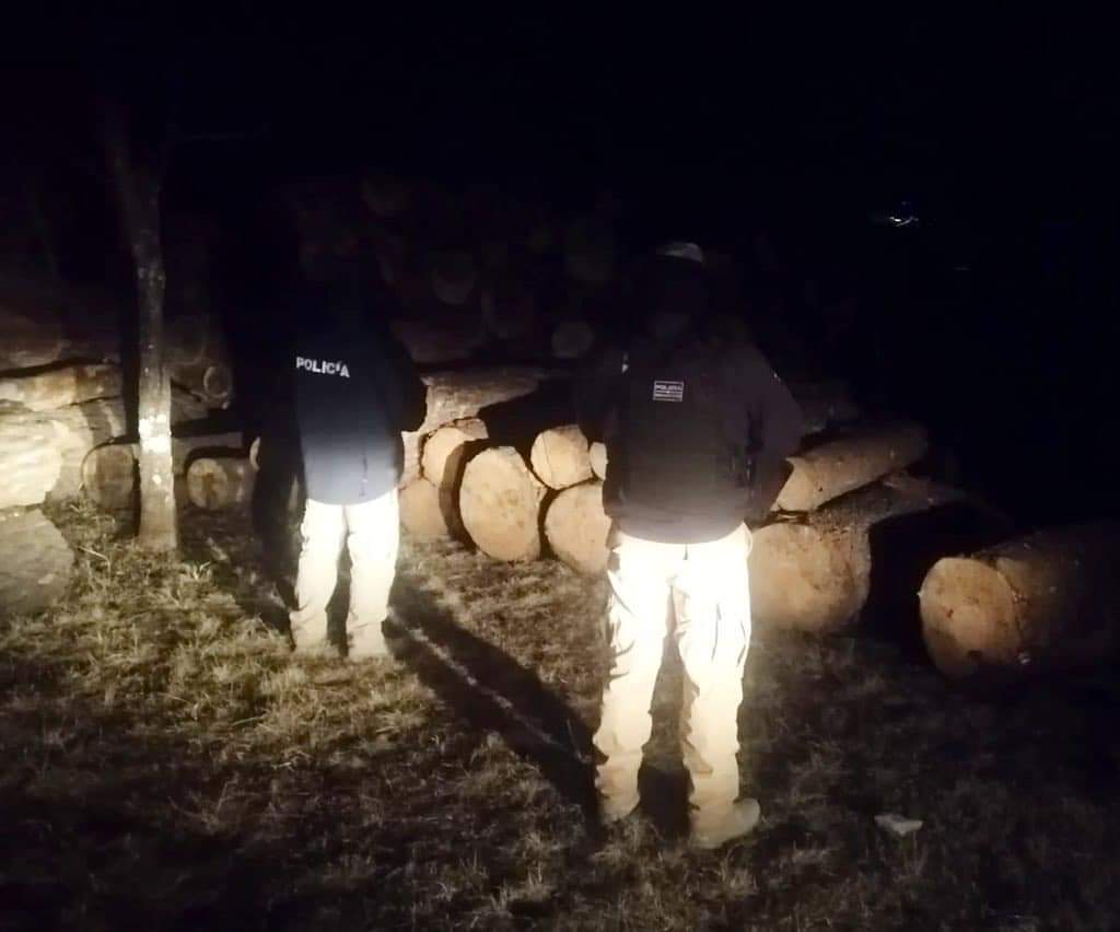 Policía de Michoacán de la división Ambiental aseguraron varios rollos de madera abandonados