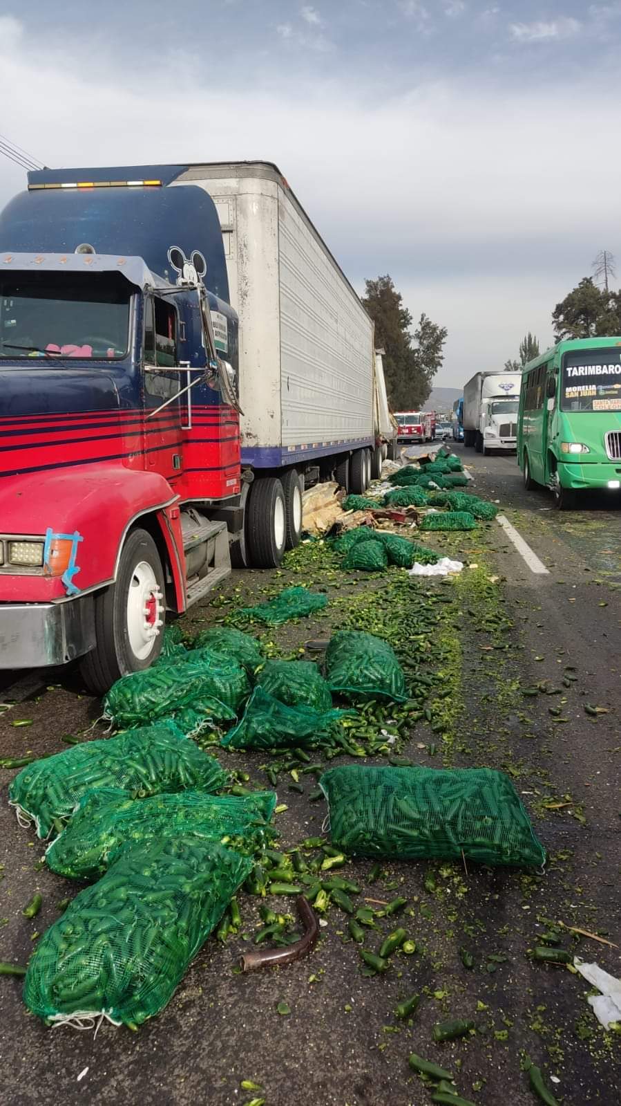 Se registró la volcadura de camión tortón que transportaba de chile