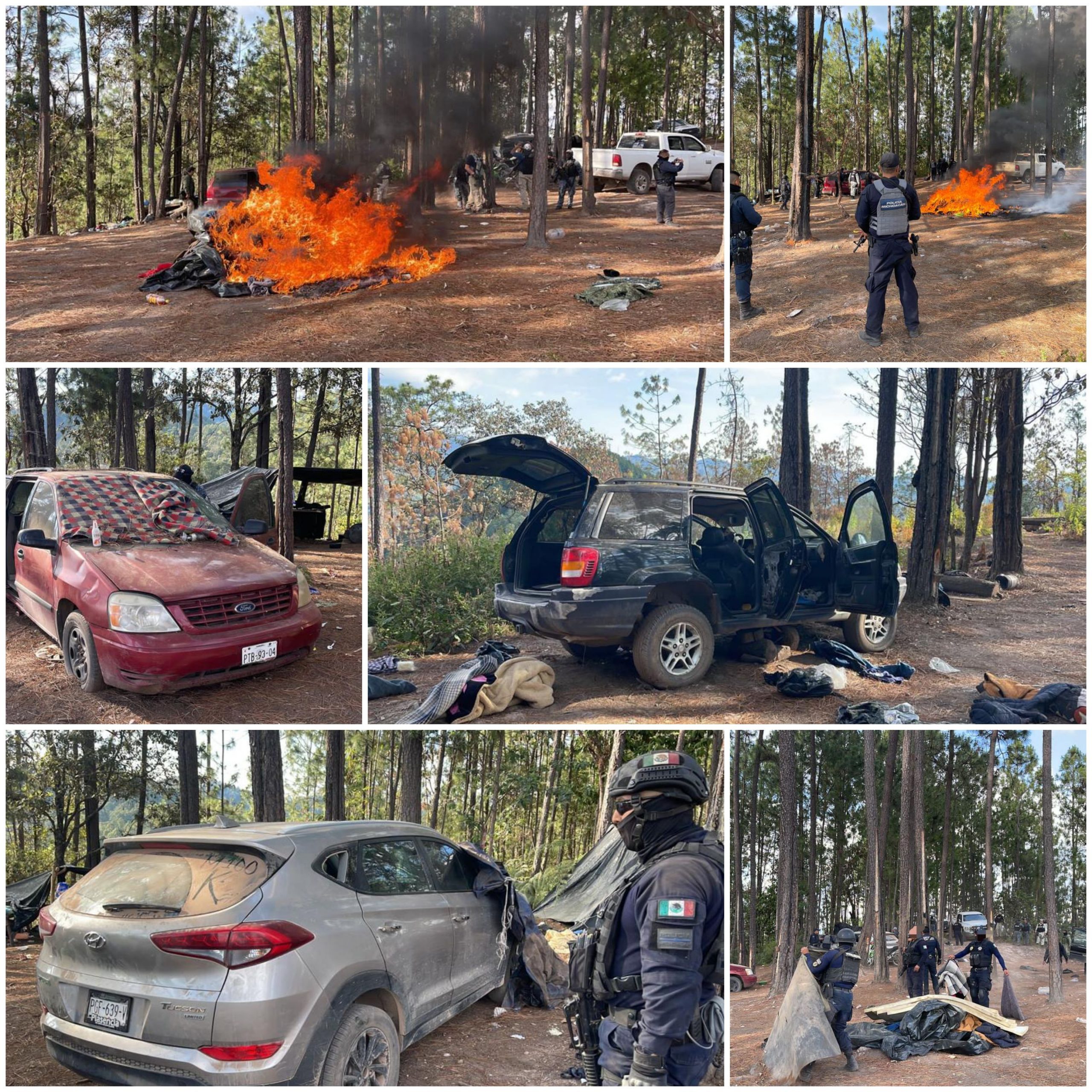 SSP y fuerzas federales desmantelan 5 campamentos en el oriente michoacano en los municipios de Cd. Hidalgo y Zinapecuaro.