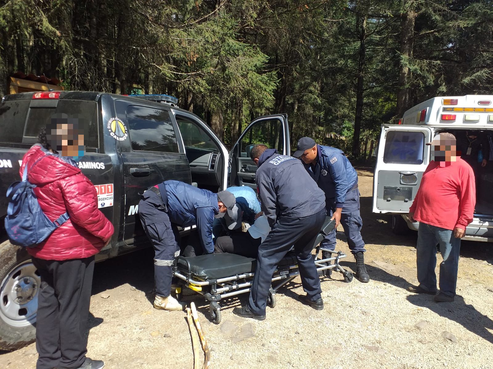 Personal de la SSP rescata a mujer tras accidente en un santuario de la Mariposa Monarca