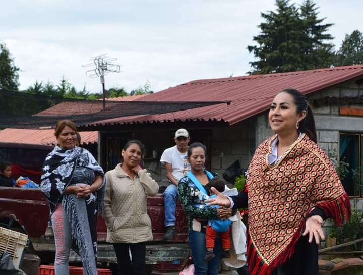 Necesario redoblar esfuerzos por la seguridad y paz en Michoacán y en el país: Gloria Tapia