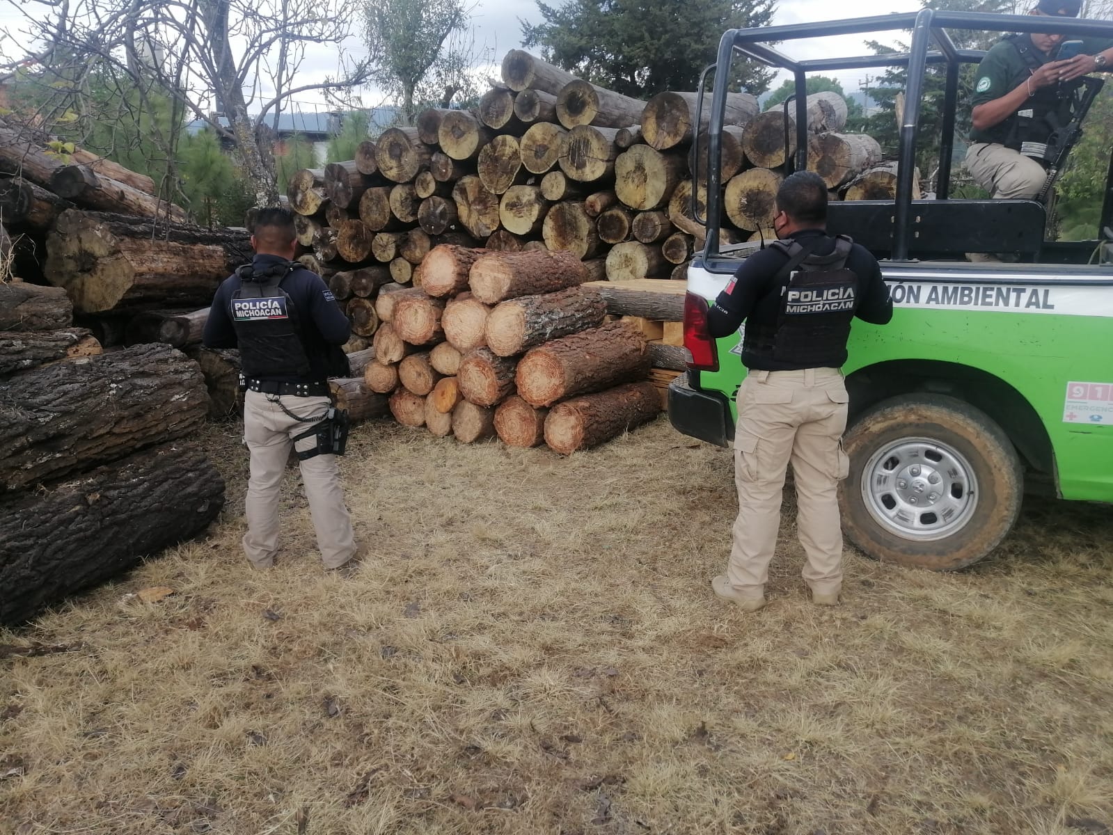 SSP asegura 18 rollos de madera presuntamente ilegal