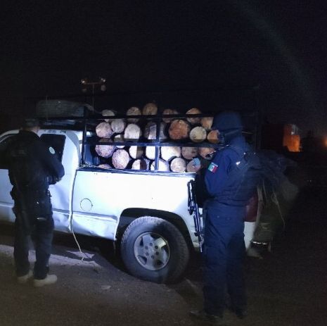 División Ambiental de la SSP asegura un cargamento de madera de procedencia ilícita.